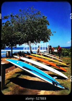 Pause après des heures d'amusement sans fin d'été, surf matin gonfle à Maui, la plage de surf et les parcs sont pleins de belles planches en couleurs , les amis et de rire ! Sentiment tellement reconnaissante ! ! ! Banque D'Images