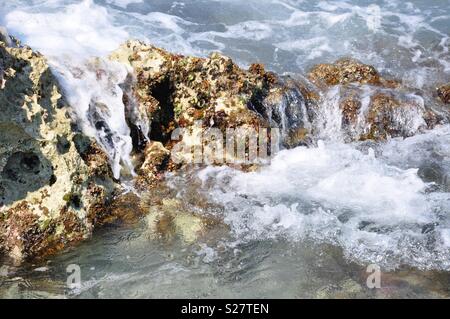 Vagues se brisant sur un rocher couvert d'algues sur la côte de Cancun au Mexique Banque D'Images