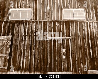 Ancien et Nouveau : nouveau windows sur une vieille grange dans le Comté de Sonoma, en Californie. Sépia. Banque D'Images