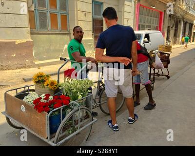 L'homme de vendre des fleurs fraîches sur la rue à La Havane Cuba Banque D'Images