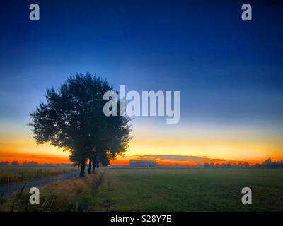 Cadre idyllique et pittoresque arbre isolé le lever du soleil sur un paysage rural Banque D'Images