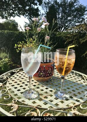 Bénéficiant d'Aperol Spritz et Gin Tonic dans le jardin d'été ensoleillé Banque D'Images