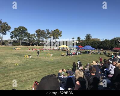 La journée des sports de l'école australienne Banque D'Images