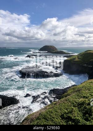 Phillip Island - Australie Victoria Banque D'Images