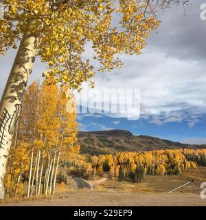 Brian Head Peak est une station de ski d'hiver lieu, qui est situé à l'est de Cedar City dans la région de Dixie National Forest, dans le sud-ouest de l'Utah. Il est entouré de peupliers de jaune en automne. Banque D'Images