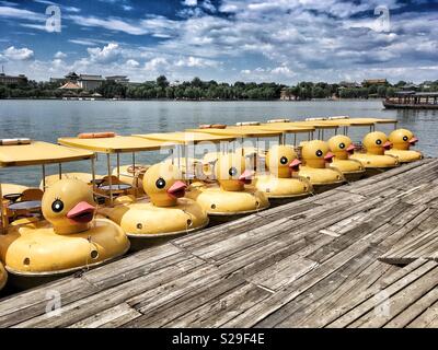 Rangée de bateaux forme canard par une promenade dans un parc. Banque D'Images