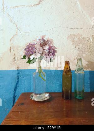 L'Hydrangea fleurs coupées en vase en verre avec des bouteilles Banque D'Images