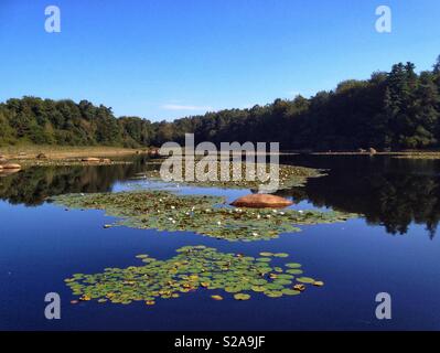 Lac du Merle, le Sidobre, la montagne Occitanie France Banque D'Images