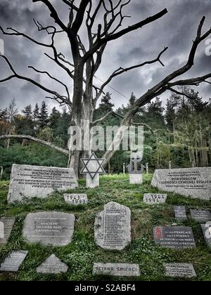 "Mur d'exécution"au camp de concentration de Gross-Rosen KL à Rogoznica, Pologne. C'est aujourd'hui un mémorial pour les victimes exécutées par les Nazis allemands pendant la Seconde Guerre mondiale. Banque D'Images