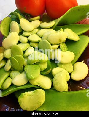 Still Life of freshly picked Dr. Martin les haricots de lima et heirloom tomatoes, USA Banque D'Images