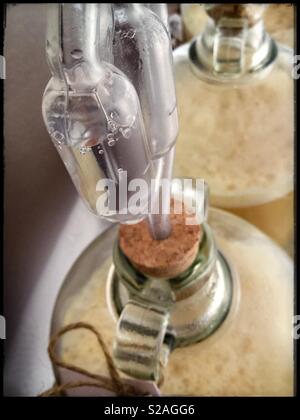 La fermentation du vin blanc en bonbonnes, Catalogne, Espagne. Banque D'Images