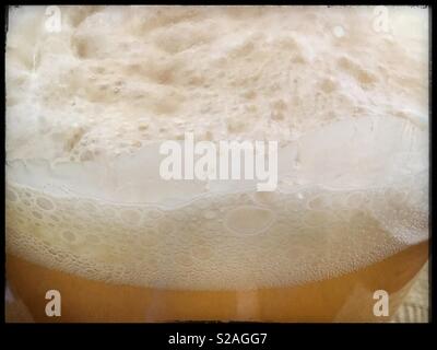 La fermentation du vin blanc en bonbonnes, Catalogne, Espagne. Banque D'Images