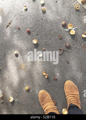 Les premiers signes de l'automne : une promenade à travers conkers Banque D'Images