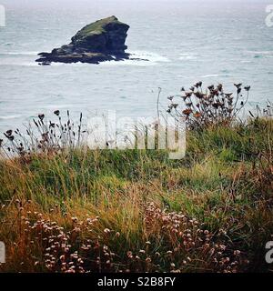 Portreath Gull Rock off sur la côte de Cornouailles Banque D'Images