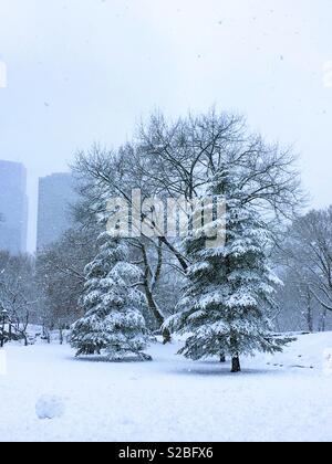 Central Park, New York. Mars 2018. Banque D'Images