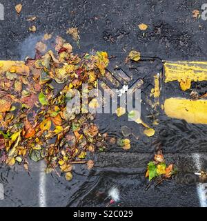 Bordure de trottoir d'automne par vidange bloqué avec feuilles mortes Octobre 2018 Banque D'Images