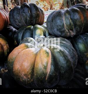 Les citrouilles de conte à la Berkeley Bowl Ouest à Berkeley, Californie. Banque D'Images