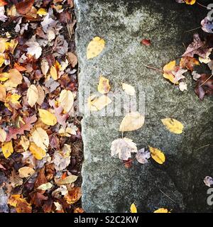 Les feuilles tombées sur une vieille plaque de granit en née en Angleterre à l'automne. Banque D'Images