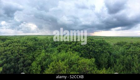 Sombre de nuages de pluie passant sur le Sian Ka'an dans la réserve naturelle Quintana Roo, Mexique Banque D'Images