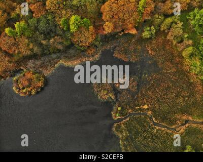 Vue aérienne de l'arbre d'if tarn en Cumbria en automne montrant des arbres dans couleurs d'automne Banque D'Images