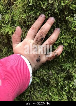 Kid's part aimer la nature, sentir la mousse sur un arbre Banque D'Images