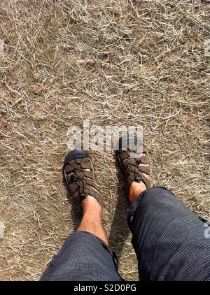 Un homme se tient sur l'herbe desséchée au Royaume-Uni l'été Banque D'Images