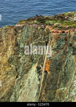 Bord de la falaise abrupte près de Bull Bay 21 Mai 2018 Anglesey Banque D'Images