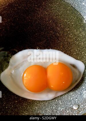 Yolker Double Banque D'Images