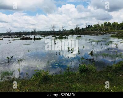 La réflexion du ciel peut être perçue dans un marais lake au Cambodge Banque D'Images