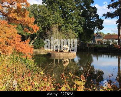 Journée d'automne dans les jardins Wisley Banque D'Images