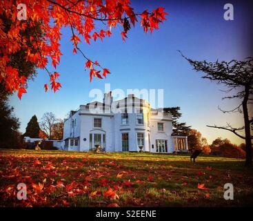 La Maison Blanche à Norwood Grove streatham, à l'automne Banque D'Images