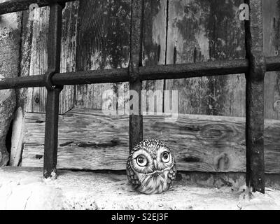 Chouette en pierre sur une ancienne fenêtre avec grille en fer Banque D'Images