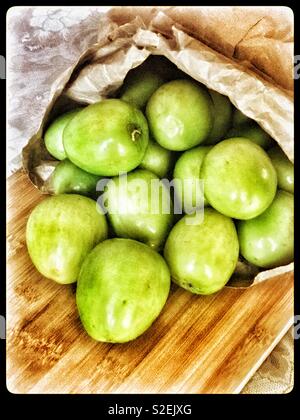 Apple chinois:Ziziphus mauritiana, connu aussi sous le nom de Ber, kunazi, jujube, Indian prune, Regi pandu, appartiennent à la famille Rhamnaceae. Banque D'Images