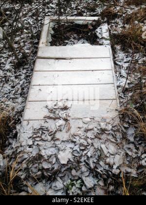 Frosty porte avec du verre brisé sur le sol Banque D'Images