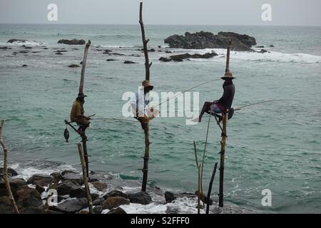 Trois pêcheurs sur pilotis au Sri Lanka Banque D'Images