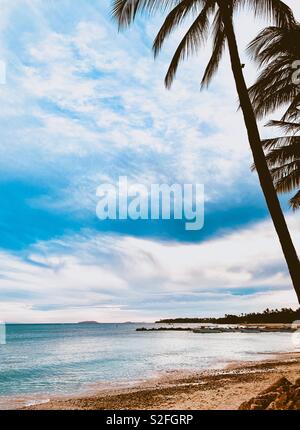 Belle plage avec du sable, d'arbres et l'océan à Punta Mita, Mexique Banque D'Images