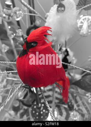 Le cardinal rouge vif dans un ornement vacances d'arbre de Noël, USA Banque D'Images