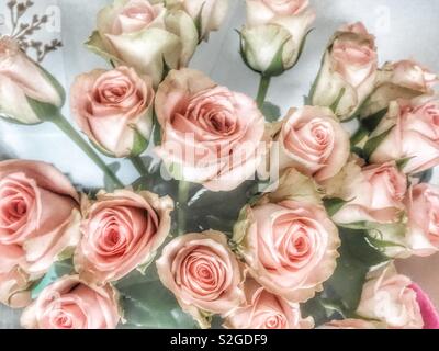 Bouquet de roses roses. Banque D'Images