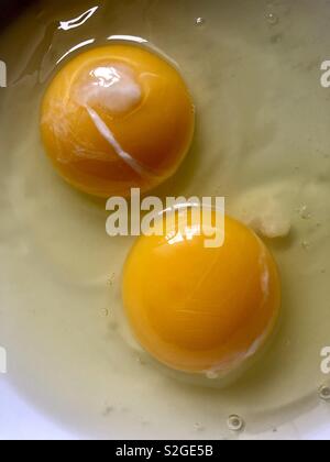 Paire d'œufs Banque D'Images