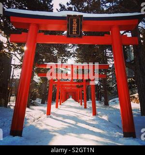 Innari Fushimi de culte pendant l'hiver à Sapporo, Japon Banque D'Images