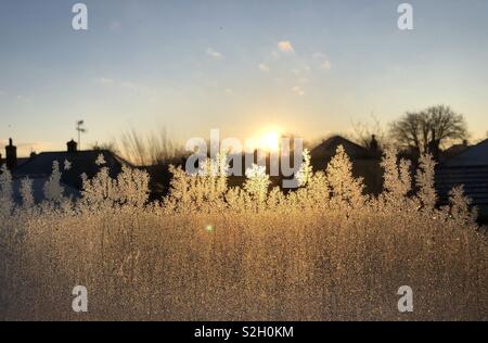 Givre sur une fenêtre au lever du soleil sur un matin d'hiver Banque D'Images
