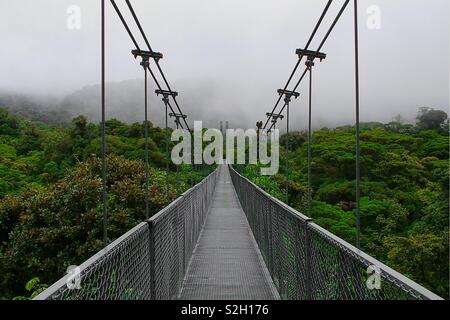 Au cours de la forêt tropicale. Fer à repasser pont suspendu au Costa Rica, la Forêt Nuageuse de Monteverde mène à travers les nuages et le vert frais rainforest en Folie des hauteurs Banque D'Images