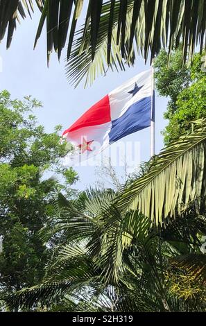 Drapeau de Panama Banque D'Images