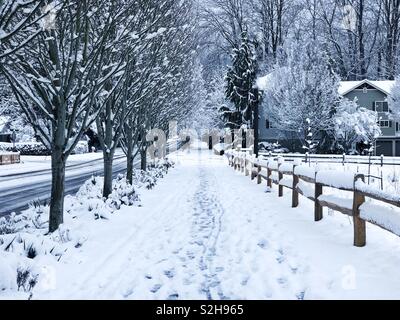 Rue de banlieue en Amérique après la tempête de neige Banque D'Images