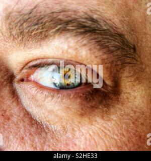 Close up of man's eye Banque D'Images