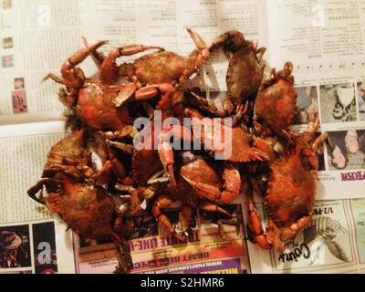 Les crabes cuits couverts de Old Bay assaisonnement. Banque D'Images