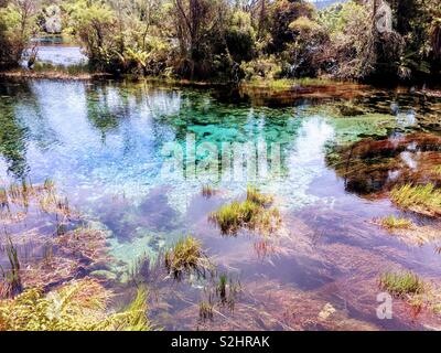 Te Waikoropupū springs en Nouvelle Zélande Banque D'Images