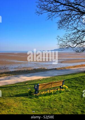 Les jonquilles entourant un banc sur la promenade de bord de mer de Mumbles et avec une vue sur la Baie de Swansea vers vie Mumbles boat station et pier, Swansea, Pays de Galles du Sud-Ouest, février. Banque D'Images