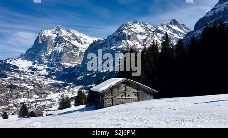 Grindelwald, hiver, avec mtns.( fr. de g à d) Werterhorn, Schreckhorn, vu fr. piste ci-dessous Kleine Scheidegg, Alpes Bernoises, Suisse. Banque D'Images