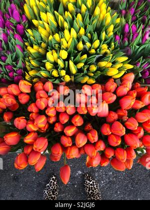 Une femme en bottes léopard se tient devant un bouquet de fleurs colorées Banque D'Images